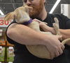 D15 Litter-Amanda-ADOPTED