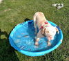 Boone ADOPTED