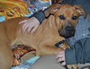 Carter-ADOPTED