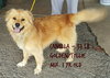 Canella-ADOPTED