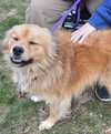 Canella-ADOPTED