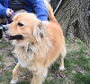 Canella-ADOPTED