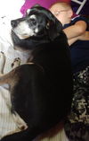 Noah ❤️ ADOPTED
