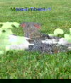 D23 Litter- Timber ADOPTED
