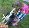 D24 Litter- Pork Chop ADOPTED