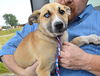 D24 Litter-Lilly ADOPTED