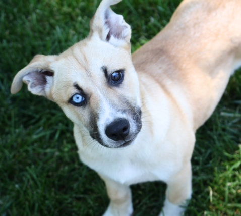 D24 Litter-Lilly ADOPTED