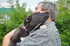 D25 Litter- Arya ADOPTED