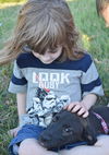D25 Litter- Arya ADOPTED
