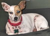 Chiquita