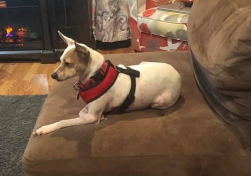 Chiquita