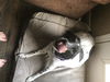 Angie ADOPTED