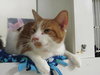 Carson ADOPTION PENDING