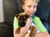 Sloan - ADOPTION PENDING