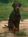 Davey-ADOPTED