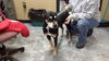 Norah-ADOPTION PENDING
