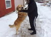 Boomer-ADOPTED