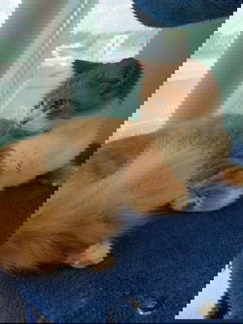 Winnie