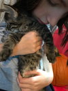 C59 Litter-Nala - ADOPTED