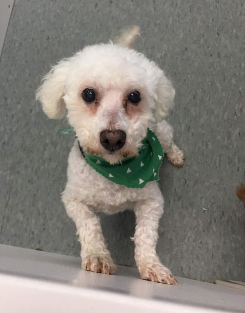 Tucker - ADOPTED