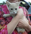 C76 Litter-Rory - ADOPTED