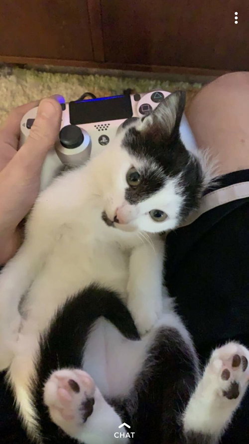 C78 Litter-Sal - ADOPTED