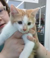 C84 Litter-Ceelo - ADOPTED