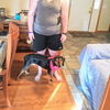 Trooper - ADOPTED