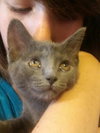 C89 Litter-Pebbles-PSP - ADOPTED
