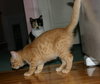 C92 Litter-Hewy - ADOPTED
