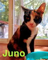 Juno