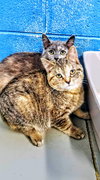 C142 litter Holly