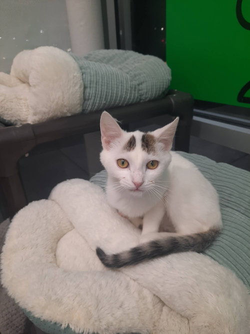 Casper