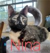 C171 litter Nina(mom)
