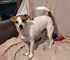 Chewy