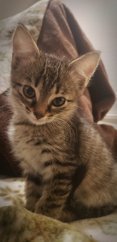 C194 litter Naomi