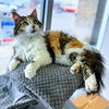 Trudy