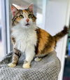 Trudy