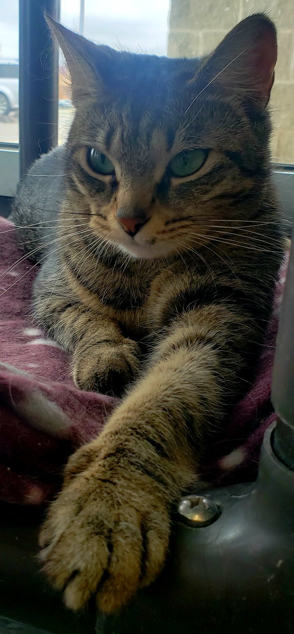Kiki