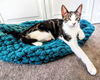 C232 litter Finley