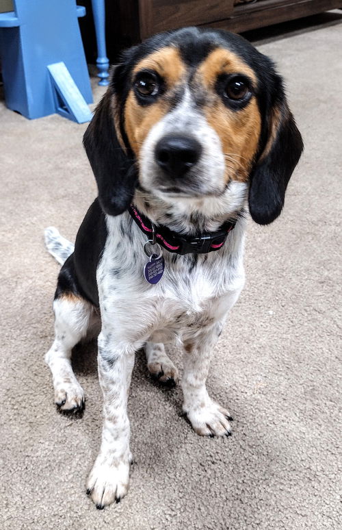 Nora