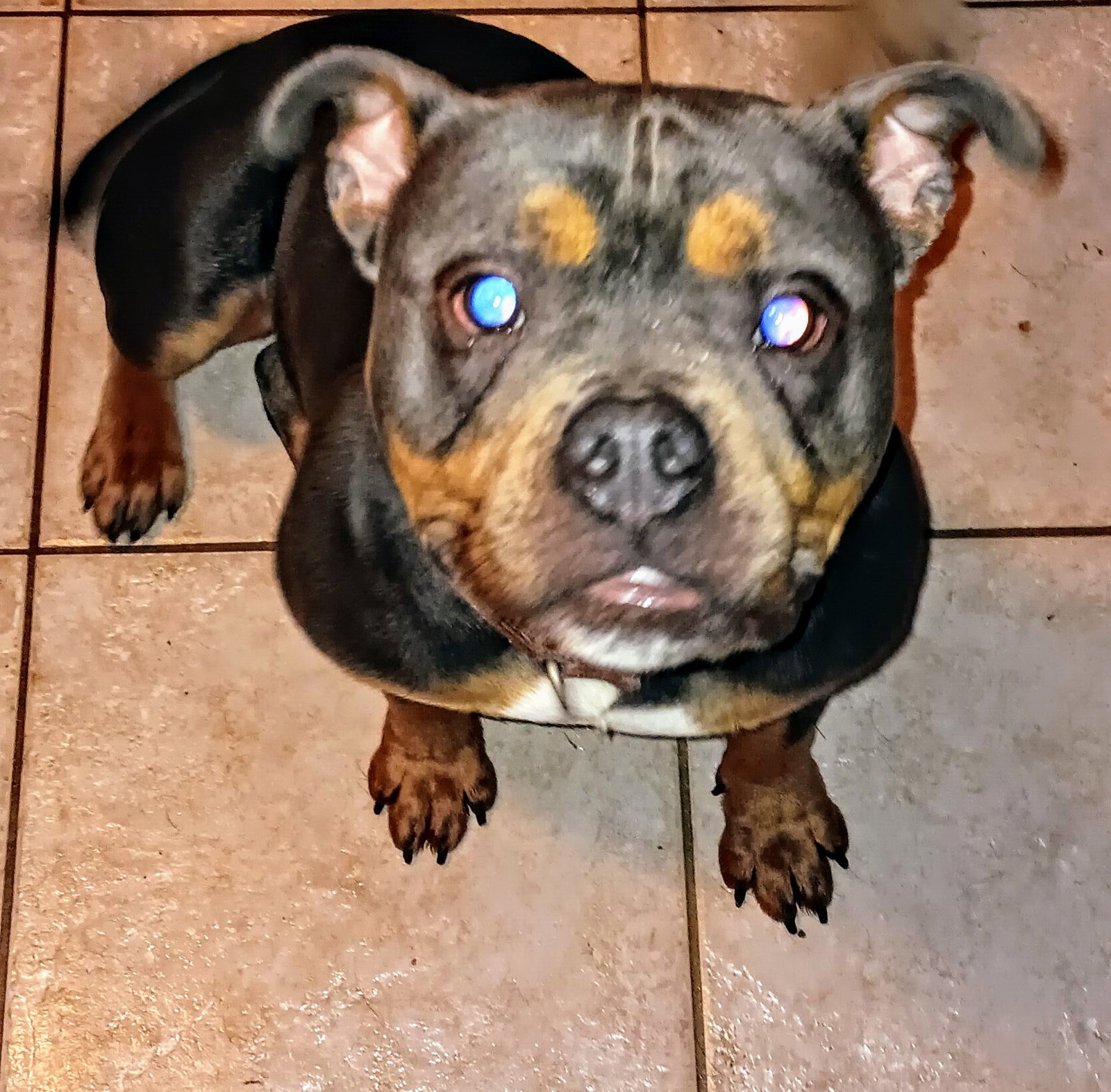 Cyrus Image