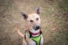 Baxter