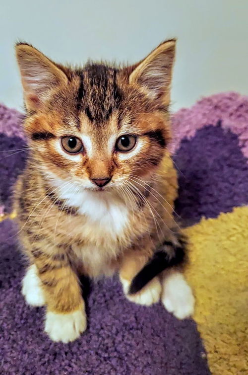 C252 litter Naomi