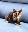 C255 litter Matilda