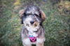Lucy