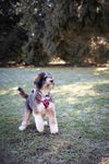 Lucy