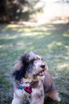 Lucy