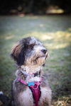 Lucy