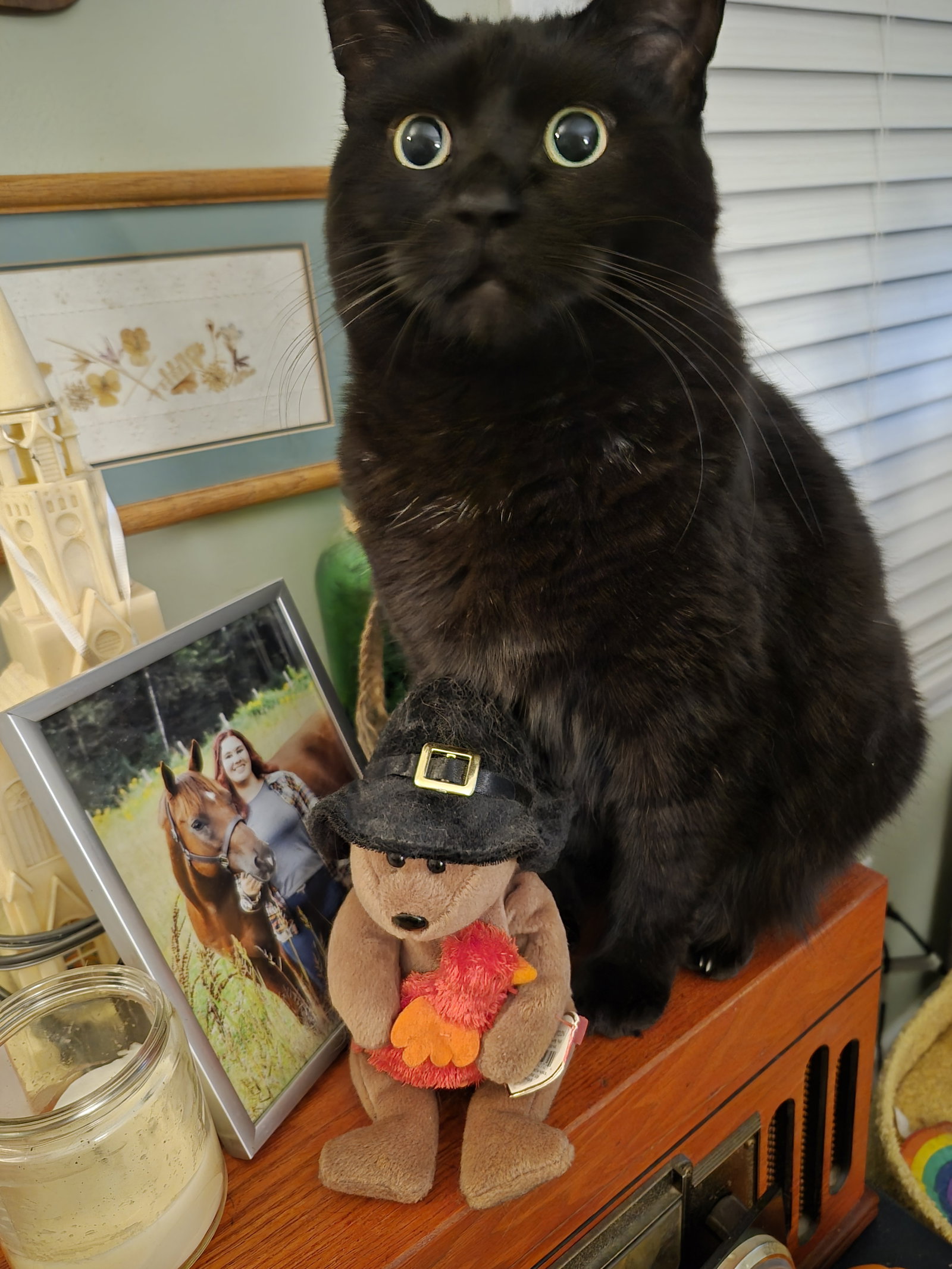 Shiloh Image